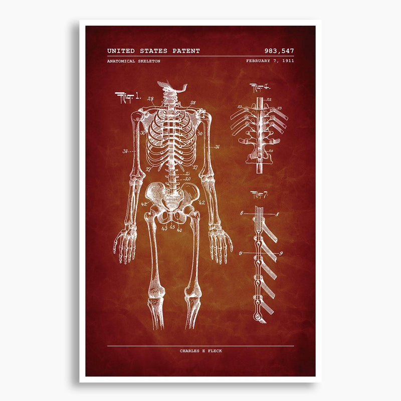 Anatomical Skeleton Patent Poster; Patent Artwork