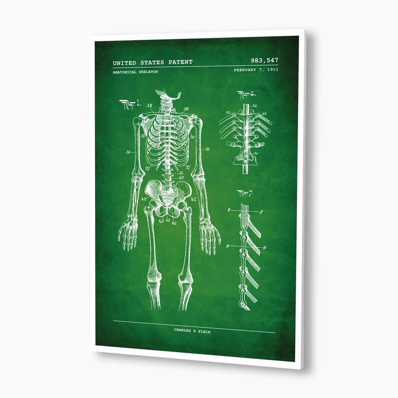 Anatomical Skeleton Patent Poster; Patent Artwork